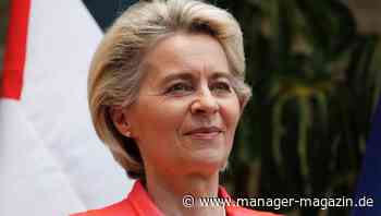 EU stimmt gegen grünes Finanzlabel für Gas und Atom