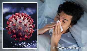 Coronavirus causing flu and other viruses to behave differently says study - Express