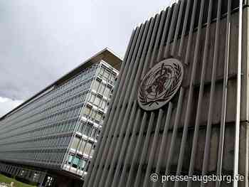 WHO beruft wegen Affenpocken Notfallausschuss ein | Presse Augsburg - Presse Augsburg