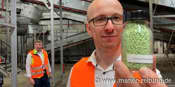 Was Sie heute in Marl wissen müssen: Das soll bei Alba besser werden. - Marler Zeitung