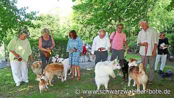 Andacht für Mensch und Tier: Gier nach getrockneter Rinderlunge in Bad Herrenalb