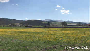 Progetto "Visit Foligno" al Parco di Colfiorito - Umbria - Agenzia ANSA