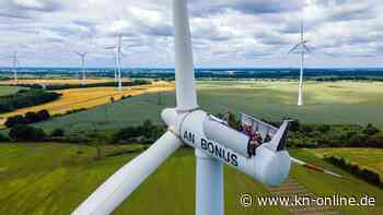 Windkraftausbau: Nabu übt scharfe Kritik an Plänen von Habeck und Lemke