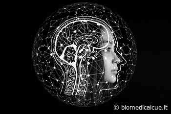 Il cervello ei suoi neuroni in grado di far alzare la febbre | CUENEWS - Biomed CuE