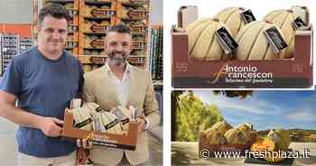 Grado zuccherino garantito con tecnologia a infrarossi - Freshplaza.it