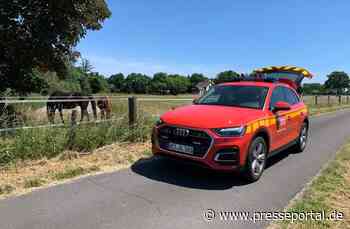 FW Alpen: Pferd aus misslicher Lage befreit