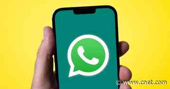 WhatsApp Now Lets You Move Chats, Photos From Android to iPhone     - CNET