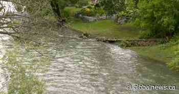 Calgary emergency management committee hears rain situation looking better