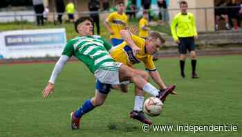 Spillane pleased with title win but critical that Killarney Celtic had to play final after dominating the league - Independent.ie