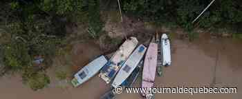 Disparition de deux hommes en Amazonie: ce que l'on sait