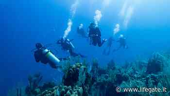 One ocean summit, l'Unesco: serve mappare l'80% dei fondali entro il 2030 - LifeGate