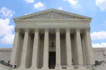 Supreme Court will review case challenging U.S. Forest Service abuse