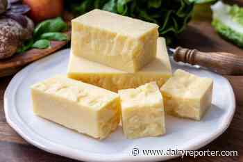 Saputo upbeat on price elasticity as earnings squeezed: 'Consumer trends in key categories remain positive' - DairyReporter.com