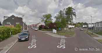 Cannabisplanten in beslag genomen bij inval in woning | Eeklo | hln.be - Het Laatste Nieuws