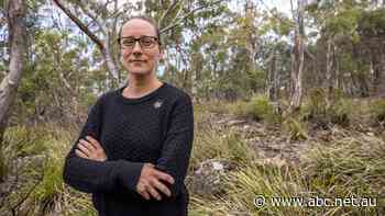 Green backed report likens carbon emissions from native forest logging to 'a million cars'