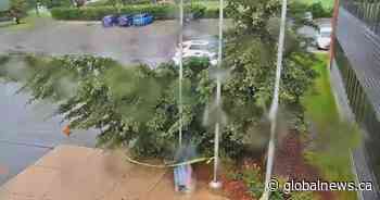 Thousands in Calgary hit by power outages during rain, wind storm