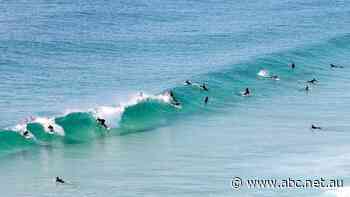 The Gold Coast seaside suburbs with properties under $1 million