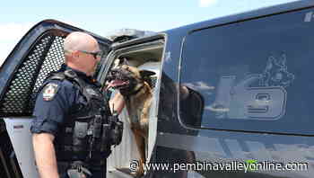 Morden Police Service Dog Chase sprints into retirement after twelve years of service - PembinaValleyOnline.com