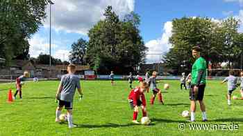 Fußballschule Grenzland lädt ein zum Camp nach Bedburg-Hau - NRZ News
