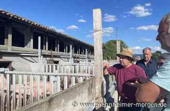Heidelberger Landwirte beobachten mit Sorge zunehmenden Flächenfraß - Heidelberg - Nachrichten und Informationen - Mannheimer Morgen