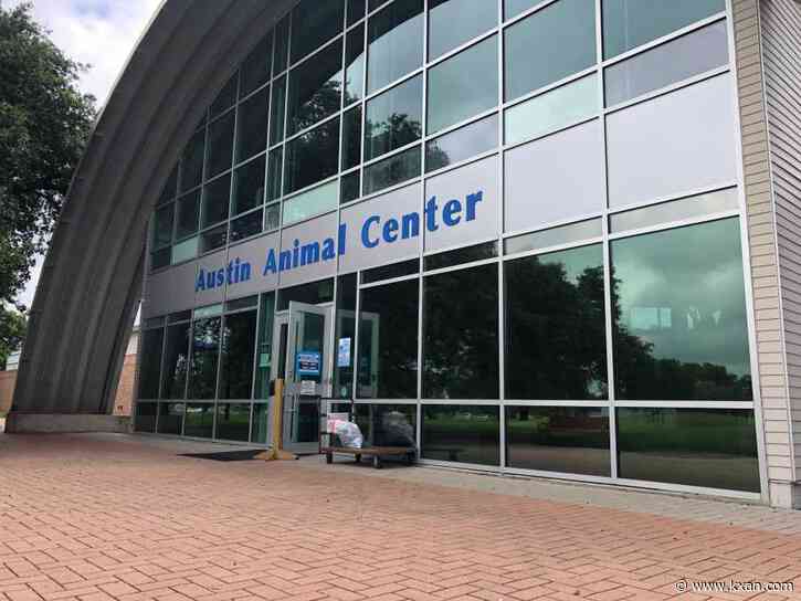 Austin animal commission recommends no-confidence vote for shelter director