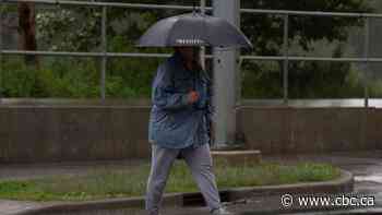 Calgary officials provide weather update as rivers approach peak levels