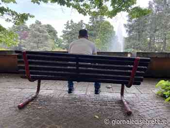 Milano2, "rivoluzione" panchine. In arrivo 70 nuove sedute - Giornale di Segrate - Giornale di Segrate