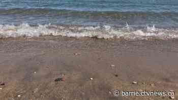 Barrie man surrenders following alleged sexual assault on beach