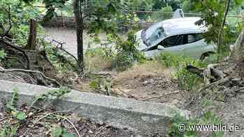 Unfall in Dresden Pillnitz: Toyota stürzt in Weinberg | Regional - BILD