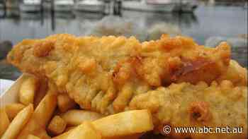 Scale of supply issues laid bare amid warnings fresh fish could 'end up in the gourmet section'