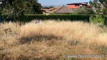 Piazza Peppino Impastato invasa dall'erba alta, Ragusa (M5S) chiede interventi preventivi - CataniaToday
