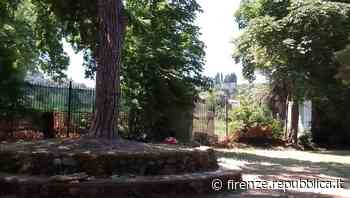 Il parco dimenticato, viaggio alle Cascine tra erba alta e droga - La Repubblica Firenze.it