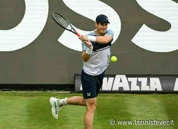 Andy Murray, quant'è dolce il sapore dell'erba - Tennis Fever