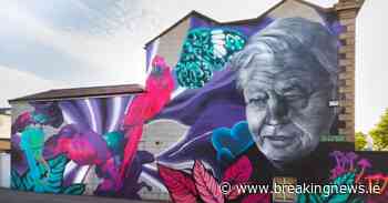 Dublin City Council to drop legal case against art group for street murals - BreakingNews.ie