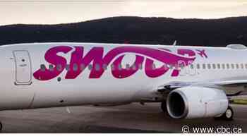 Discount airline Swoop flies into Saskatchewan - CBC.ca