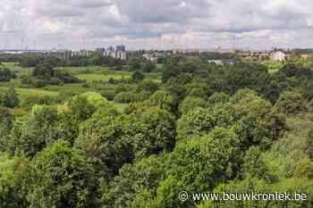 Geen bebouwing op 4 ha grond in Ekeren-Donk - Bouwkroniek