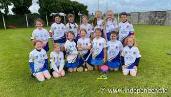 Club News: Tralee Parnells, Born to Run Marathon Club, Kerry Hospice Foundation and Kerry ICA - Independent.ie