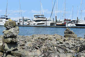 Luxury boat tax on the radar of Saanich Peninsula communities – Saanich News - Saanich News