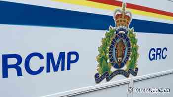 19-year-old charged with assault for alleged homophobic attack in Nanaimo, B.C. - CBC.ca