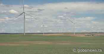 Largest wind facility in Saskatchewan officially open in Assiniboia - Global News