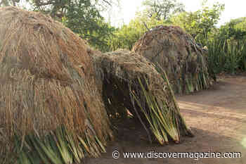 Hunter Gatherer’s Gut Bacteria Might Show History of our Microbiome