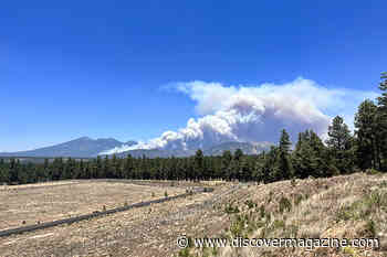 A Wildfire in Arizona is Forecast to Send Smoke Streaming All the Way to the Great Lakes