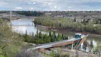 Edmonton city councillors consider new bylaw to protect trees on private land