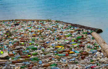 Coastline Clogged with Plastic from One of World's Most Polluted Rivers - Newsweek