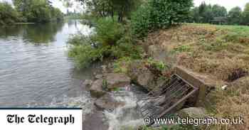 'Negligent' water companies let dirty rivers go unchecked – here's how - The Telegraph