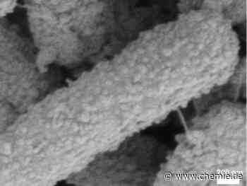 Entwicklung von Schutzanzügen für hart arbeitende Bakterien