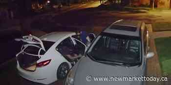 Victim confronts suspects in Markham catalytic converter theft - NewmarketToday.ca