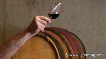 Près de Lyon : le festival Bienvenue en Beaujonomie vous attend ce week-end - Lyon Mag