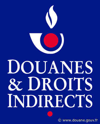 La Cellule Conseil aux Entreprises de Lyon au Salon GO Entrepreneurs - DOUANE FRANÇAISE