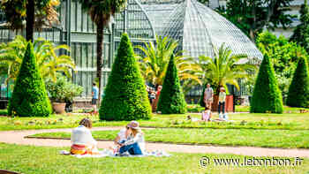 Que faire à Lyon cette semaine (13-16 juin) ? - Le Bonbon